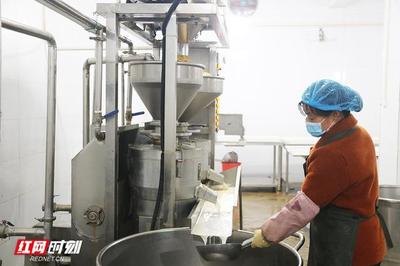 鞏固脫貧成果進行時丨"村集體+市場主體" 湘鄉市白田村唱響"致富經